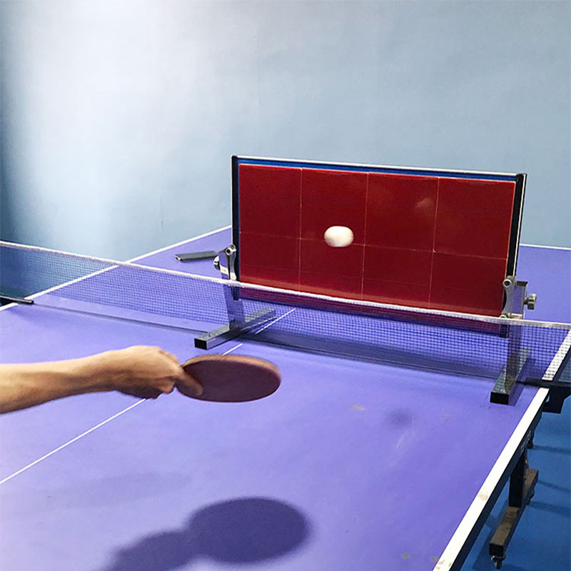 Home Table Tennis Rebound Boar - đánh giá và giá Table Tennis Video Game